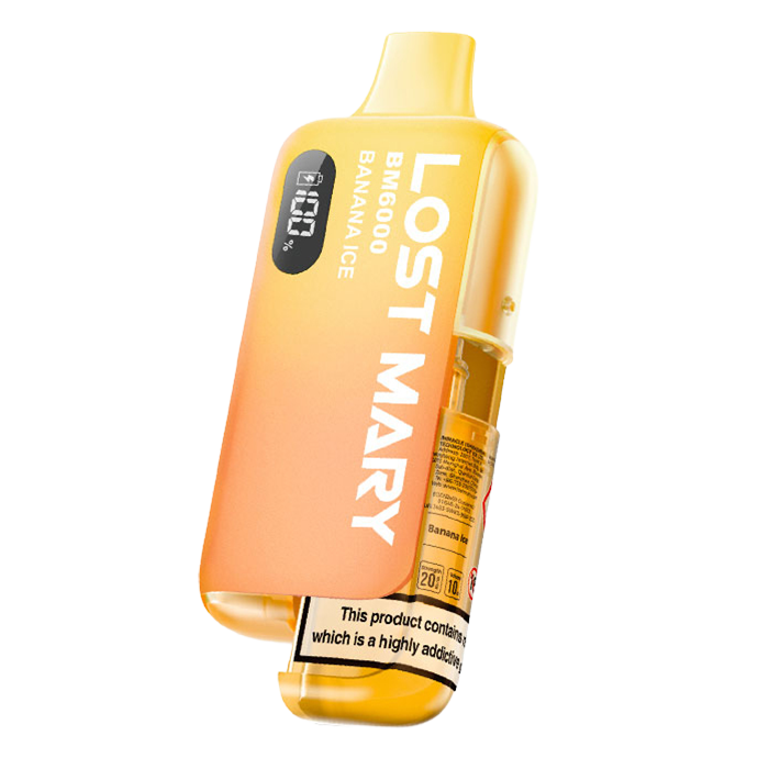 Lost Mary BM6000 Prefilled Pod Kit