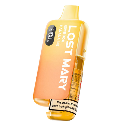Lost Mary BM6000 Prefilled Pod Kit