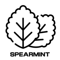 Shop-by-filter-Spearmint-flavoured-e-liquid-The Ace Of Vapez