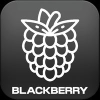 Shop-by-flavour-icons-Blackberry-The Ace Of Vapez