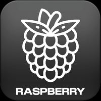 Shop-by-flavour-icons-Raspberry-The Ace Of Vapez